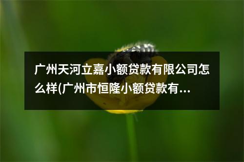 广州天河立嘉小额贷款有限公司怎么样(广州市恒隆小额贷款有限公司介绍)