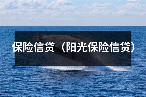 保险信贷（阳光保险信贷）