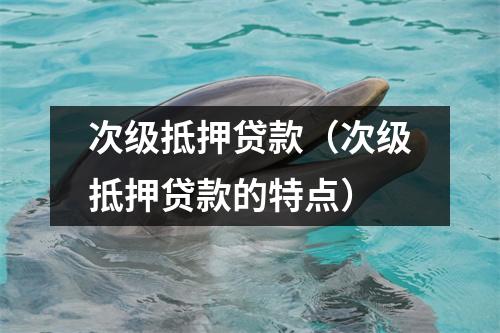 次级抵押贷款（次级抵押贷款的特点）