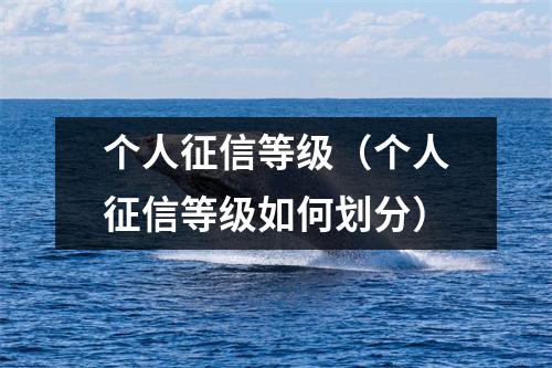 个人征信等级(个人征信等级如何划分)