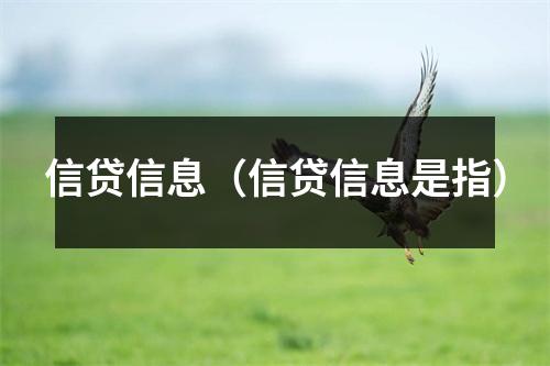 信贷信息（信贷信息是指）