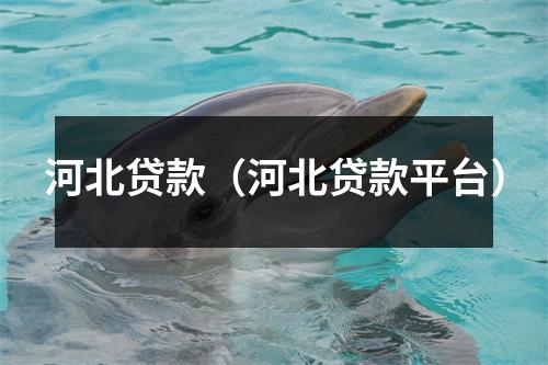 河北贷款(河北贷款平台)