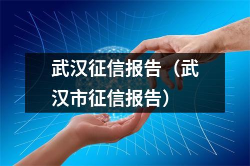 武汉征信报告（武汉市征信报告）