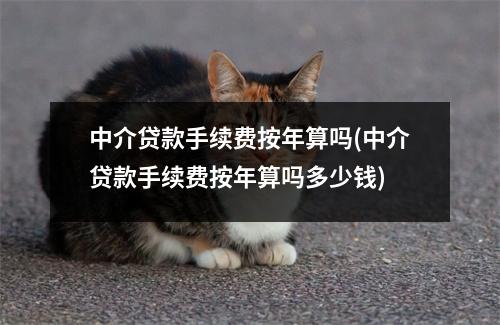中介贷款手续费按年算吗(中介贷款手续费按年算吗多少钱)