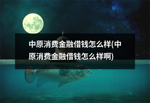 中原消费金融借钱怎么样(中原消费金融借钱怎么样啊)