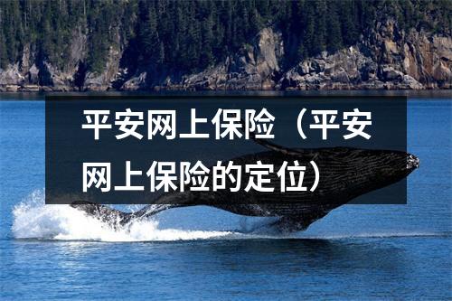 平安网上保险(平安网上保险的定位)