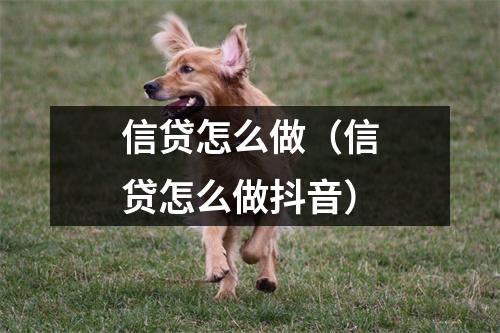 信贷怎么做（信贷怎么做抖音）