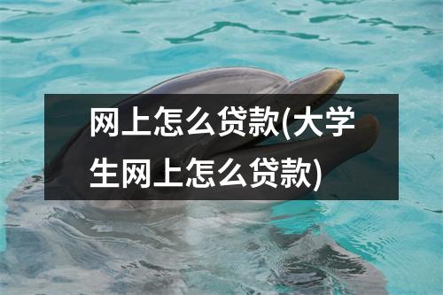 网上怎么贷款(大学生网上怎么贷款)