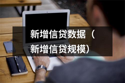 新增信贷数据（新增信贷规模）
