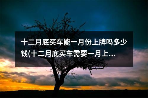 十二月底买车能一月份上牌吗多少钱(十二月底买车需要一月上牌吗)