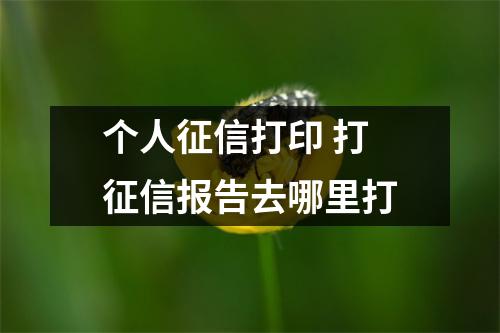 个人征信打印 打征信报告去哪里打