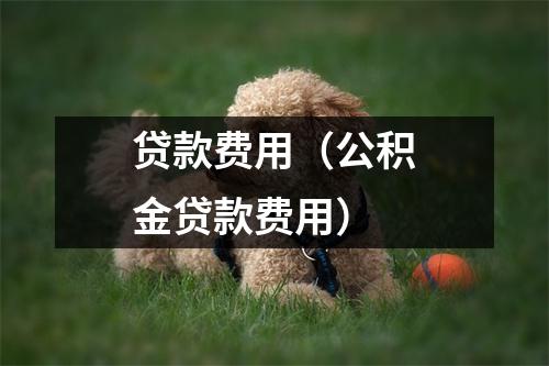 贷款费用(公积金贷款费用)