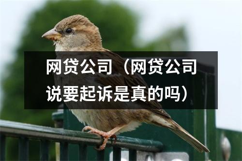 网贷公司（网贷公司说要起诉是真的吗）