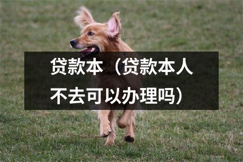 贷款本（贷款本人不去可以办理吗）