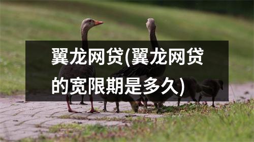 翼龙网贷(翼龙网贷的宽限期是多久)