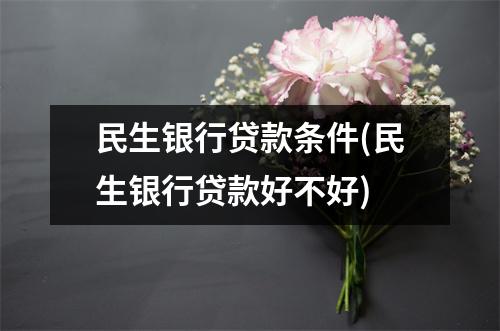 民生银行贷款条件(民生银行贷款好不好)