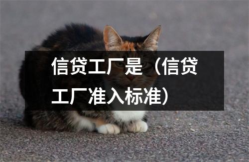 信贷工厂是（信贷工厂准入标准）