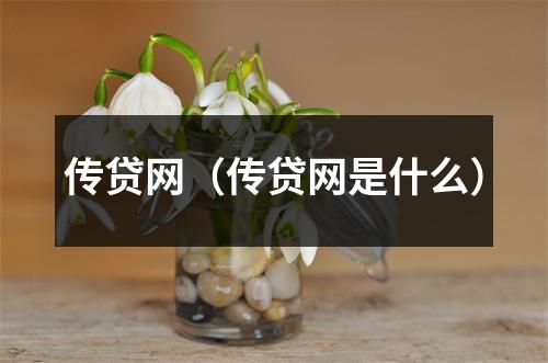 传贷网（传贷网是什么）