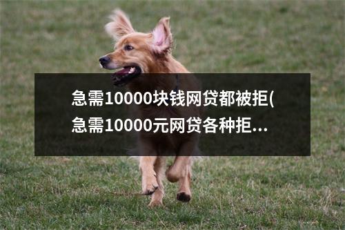 急需10000块钱网贷都被拒(急需10000元网贷各种拒怎么办)