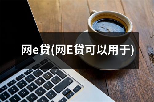 网e贷(网E贷可以用于)