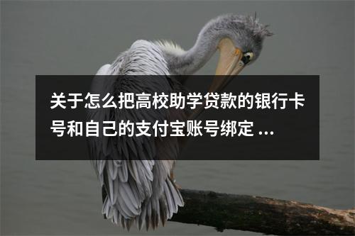 关于怎么把高校助学贷款的银行卡号和自己的支付宝账号绑定 的一些信息