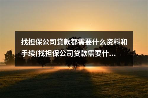 找担保公司贷款都需要什么资料和手续(找担保公司贷款需要什么材料)
