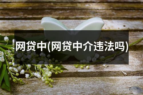 网贷中(网贷中介违法吗)
