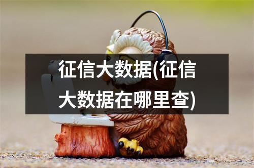 征信大数据(征信大数据在哪里查)