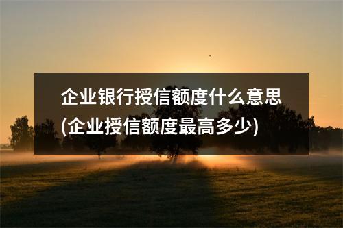 企业银行授信额度什么意思(企业授信额度最高多少)