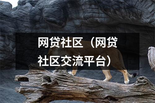 网贷社区（网贷社区交流平台）