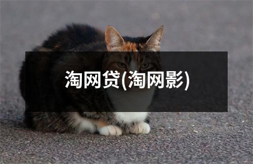 淘网贷(淘网影)