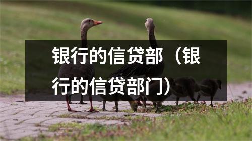 银行的信贷部(银行的信贷部门)