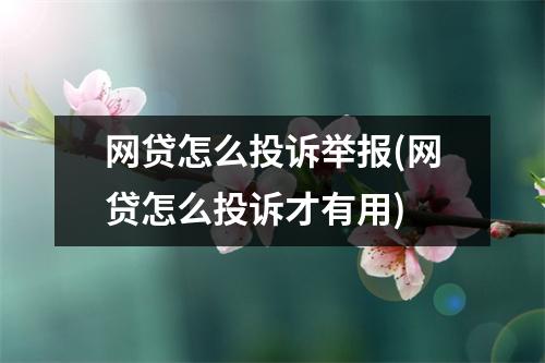 网贷怎么投诉举报(网贷怎么投诉才有用)