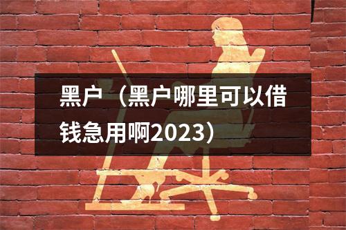 黑户（黑户哪里可以借钱急用啊2023）