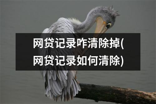网贷记录咋清除掉(网贷记录如何清除)