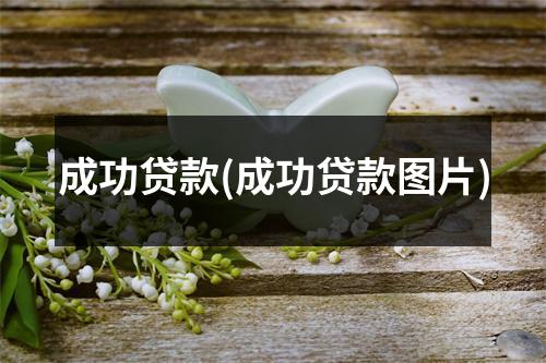成功贷款(成功贷款图片)