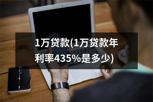 1万贷款(1万贷款年利率435%是多少)
