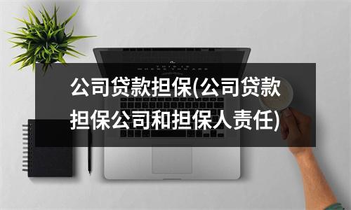 公司贷款担保(公司贷款担保公司和担保人责任)