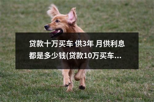 贷款十万买车 供3年 月供利息都是多少钱(贷款10万买车3年月供多少)