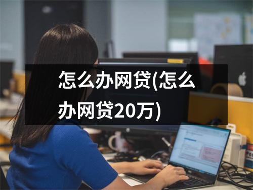 怎么办网贷(怎么办网贷20万)