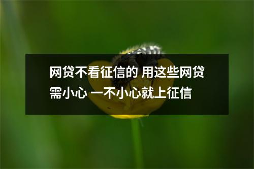 网贷不看征信的 用这些网贷需小心 一不小心就上征信