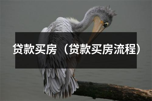 贷款买房（贷款买房流程）