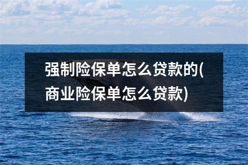 强制险保单怎么贷款的(商业险保单怎么贷款)