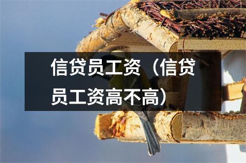 信贷员工资（信贷员工资高不高）