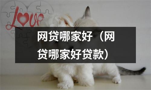 网贷哪家好(网贷哪家好贷款)