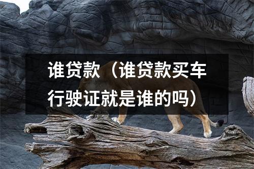 谁贷款（谁贷款买车行驶证就是谁的吗）
