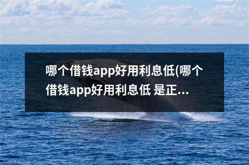 哪个借钱app好用利息低(哪个借钱app好用利息低 是正规的)