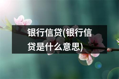 银行信贷(银行信贷是什么意思)