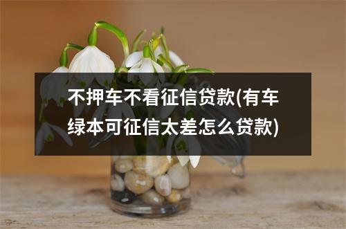 不押车不看征信贷款(有车绿本可征信太差怎么贷款)
