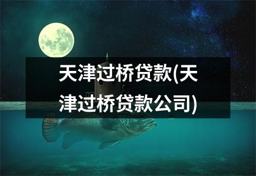 天津过桥贷款(天津过桥贷款公司)